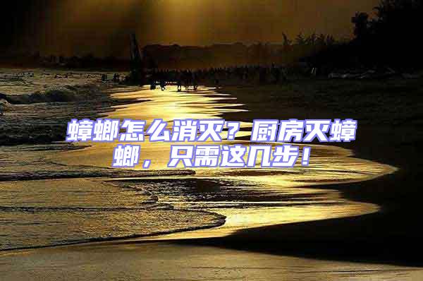 蟑螂怎么消滅？廚房滅蟑螂，只需這幾步！