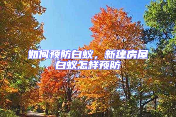 如何預防白蟻，新建房屋白蟻怎樣預防