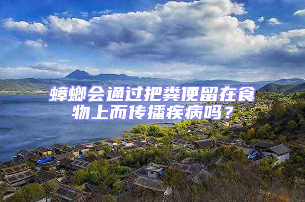 蟑螂會通過把糞便留在食物上而傳播疾病嗎？