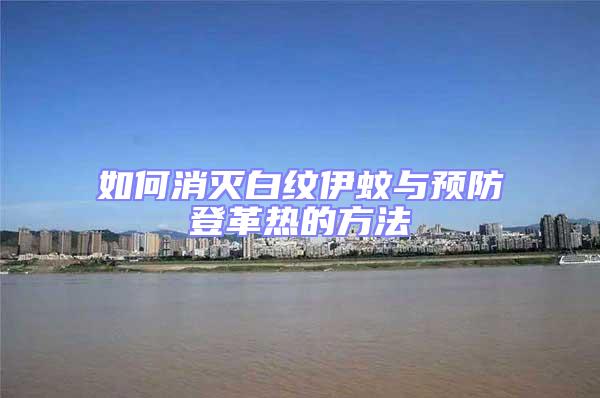 如何消滅白紋伊蚊與預防登革熱的方法