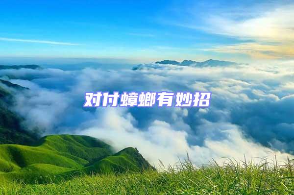對付蟑螂有妙招