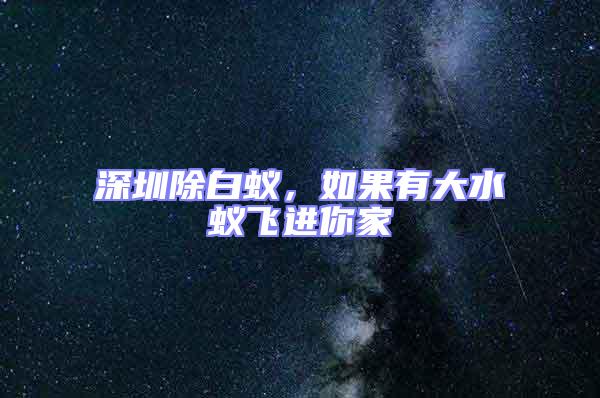 深圳除白蟻，如果有大水蟻飛進(jìn)你家