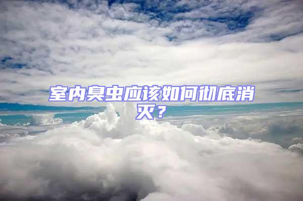 室內臭蟲應該如何徹底消滅？