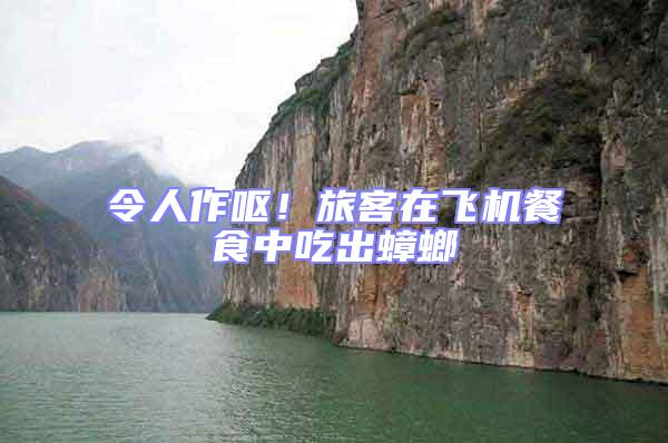 令人作嘔！旅客在飛機餐食中吃出蟑螂