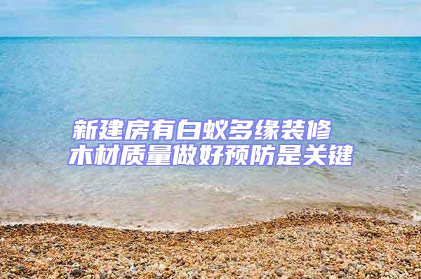 新建房有白蟻多緣裝修 木材質量做好預防是關鍵