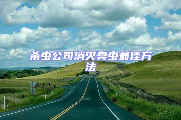 殺蟲(chóng)公司消滅臭蟲(chóng)最佳方法