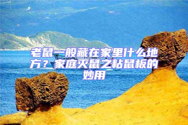 老鼠一般藏在家里什么地方？家庭滅鼠之粘鼠板的妙用