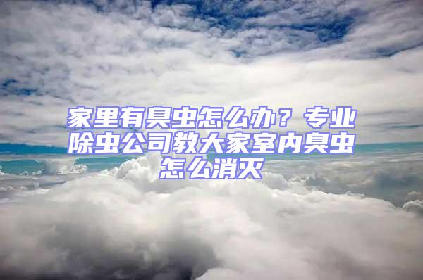 家里有臭蟲怎么辦？專業除蟲公司教大家室內臭蟲怎么消滅