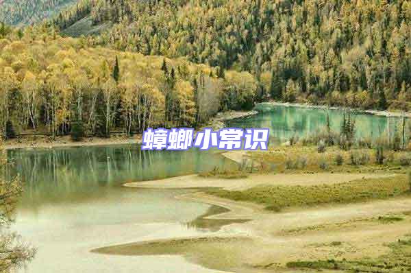 蟑螂小常識
