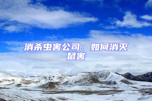 消殺蟲(chóng)害公司：如何消滅鼠害