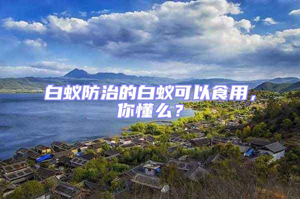 白蟻防治的白蟻可以食用，你懂么？