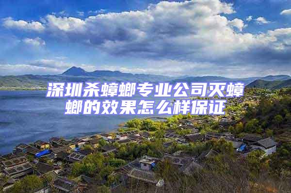 深圳殺蟑螂專業公司滅蟑螂的效果怎么樣保證