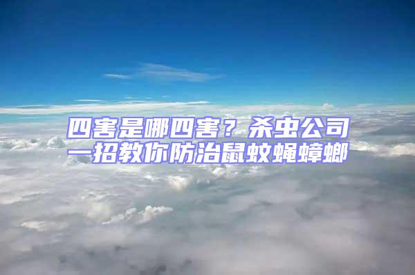 四害是哪四害？殺蟲公司一招教你防治鼠蚊蠅蟑螂