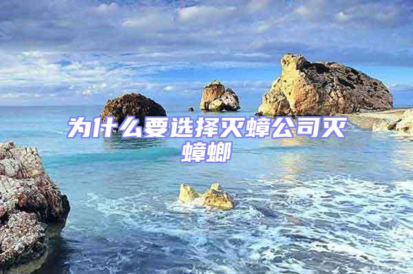 為什么要選擇滅蟑公司滅蟑螂