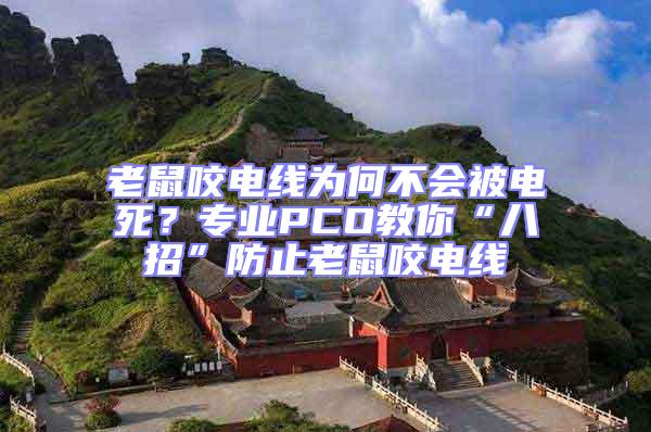 老鼠咬電線為何不會被電死？專業(yè)PCO教你“八招”防止老鼠咬電線