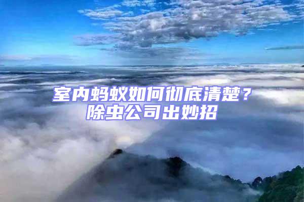 室內螞蟻如何徹底清楚？除蟲公司出妙招