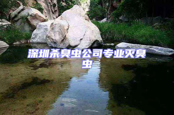 深圳殺臭蟲公司專業滅臭蟲