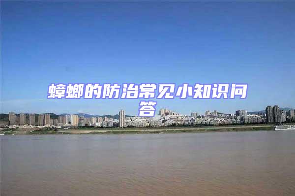 蟑螂的防治常見小知識問答