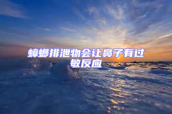 蟑螂排泄物會(huì)讓鼻子有過(guò)敏反應(yīng)