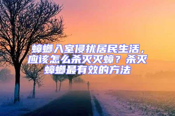 蟑螂入室侵擾居民生活，應該怎么殺滅滅蟑？殺滅蟑螂最有效的方法