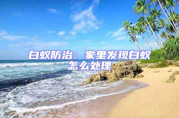 白蟻防治：家里發現白蟻怎么處理