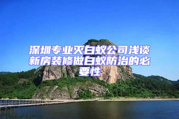 深圳專業滅白蟻公司淺談新房裝修做白蟻防治的必要性