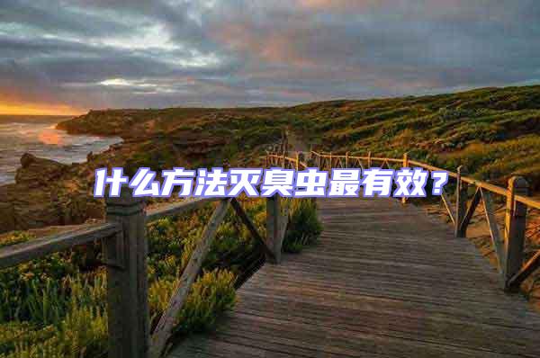 什么方法滅臭蟲(chóng)最有效？