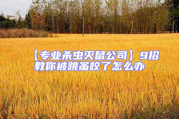 【專業(yè)殺蟲(chóng)滅鼠公司】9招教你被跳蚤咬了怎么辦