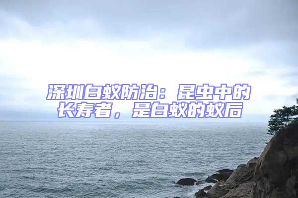深圳白蟻防治：昆蟲中的長(zhǎng)壽者，是白蟻的蟻后