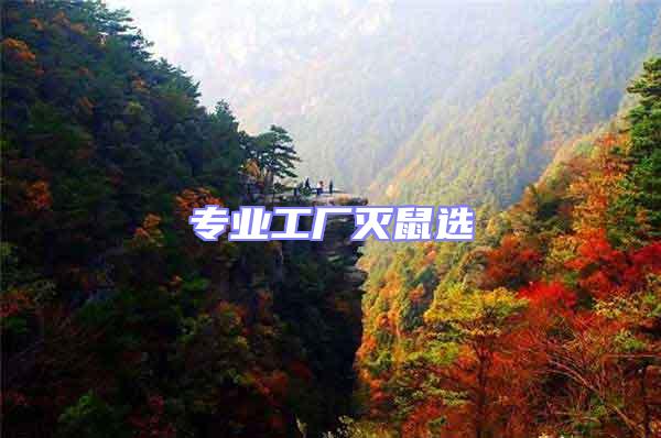 專業(yè)工廠滅鼠選