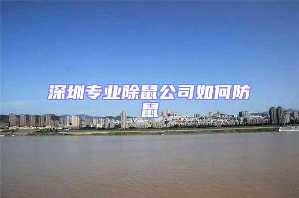 深圳專業(yè)除鼠公司如何防鼠