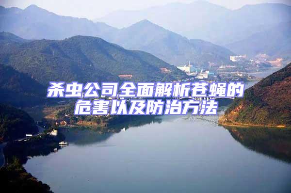 殺蟲公司全面解析蒼蠅的危害以及防治方法
