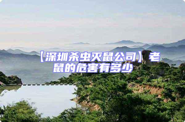 【深圳殺蟲滅鼠公司】老鼠的危害有多少