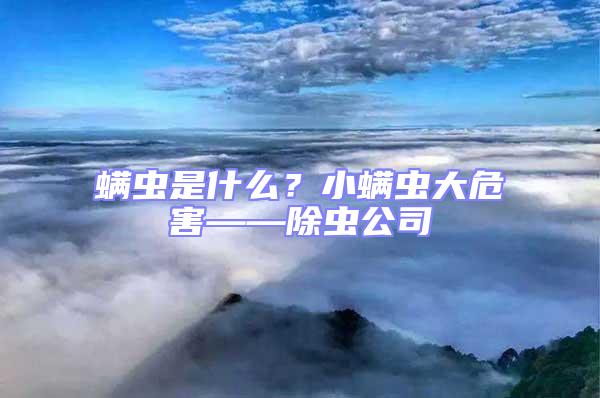 螨蟲是什么？小螨蟲大危害——除蟲公司