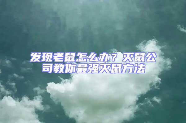 發現老鼠怎么辦？滅鼠公司教你最強滅鼠方法