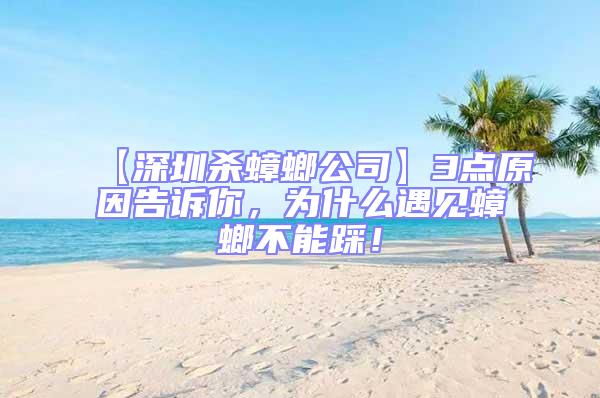 【深圳殺蟑螂公司】3點原因告訴你，為什么遇見蟑螂不能踩！