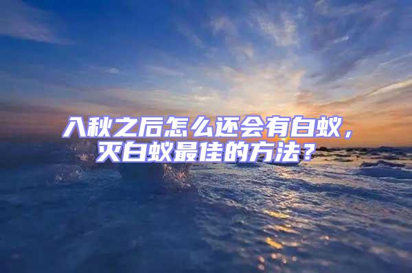 入秋之后怎么還會有白蟻，滅白蟻最佳的方法？