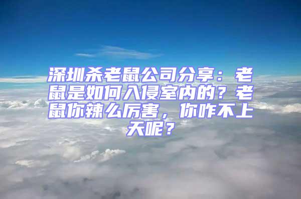 深圳殺老鼠公司分享：老鼠是如何入侵室內的？老鼠你辣么厲害，你咋不上天呢？
