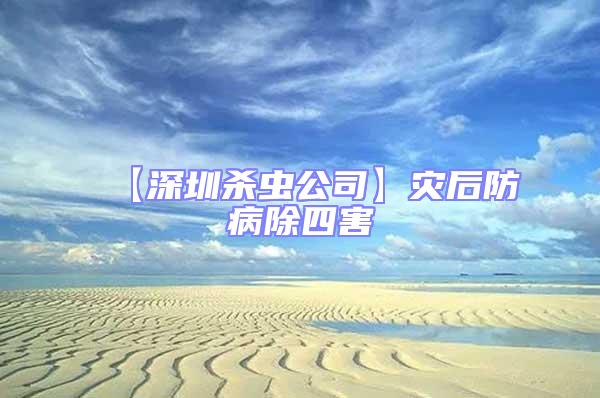 【深圳殺蟲(chóng)公司】災(zāi)后防病除四害