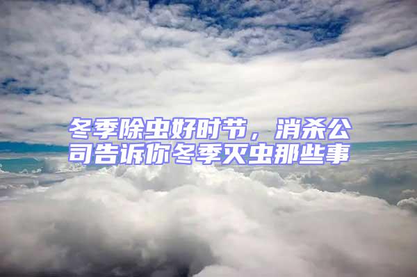 冬季除蟲好時節，消殺公司告訴你冬季滅蟲那些事