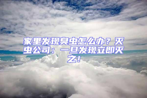 家里發現臭蟲怎么辦？滅蟲公司：一旦發現立即滅之！