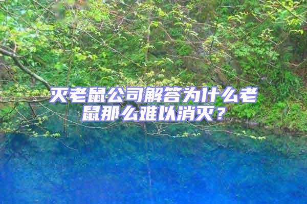 滅老鼠公司解答為什么老鼠那么難以消滅？