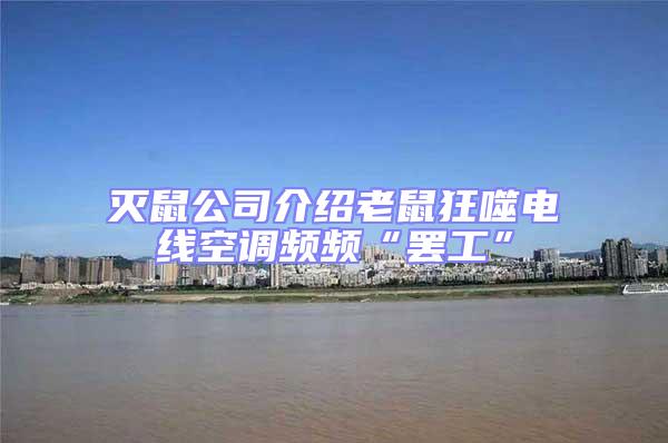 滅鼠公司介紹老鼠狂噬電線空調頻頻“罷工”