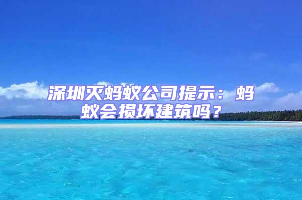 深圳滅螞蟻公司提示：螞蟻會損壞建筑嗎？