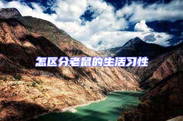 怎區(qū)分老鼠的生活習(xí)性
