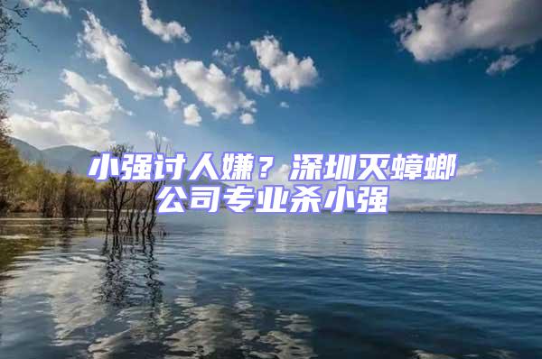 小強討人嫌？深圳滅蟑螂公司專業殺小強