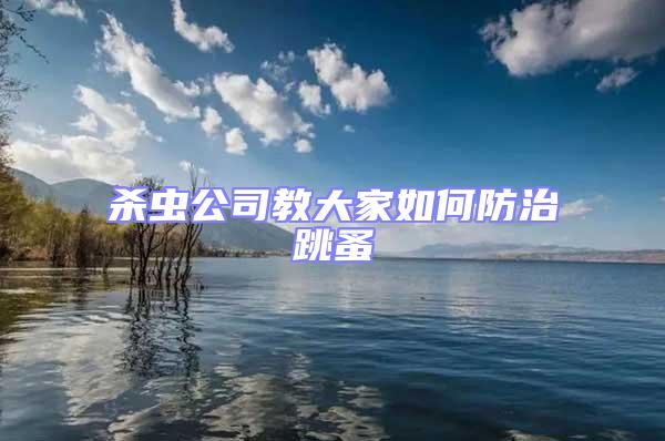 殺蟲公司教大家如何防治跳蚤