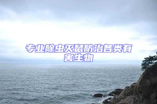 專(zhuān)業(yè)除蟲(chóng)滅鼠防治各類(lèi)有害生物