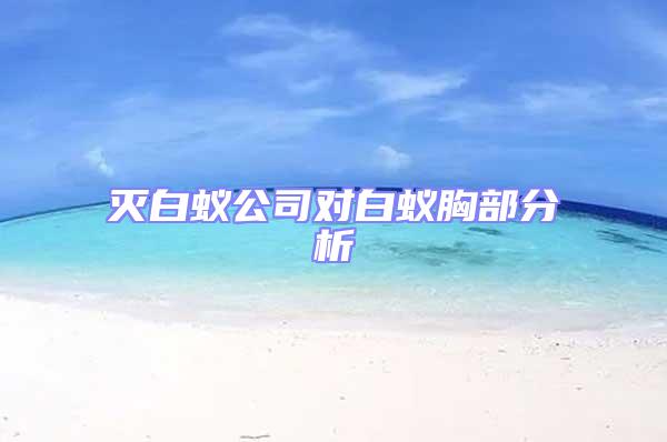 滅白蟻公司對(duì)白蟻胸部分析