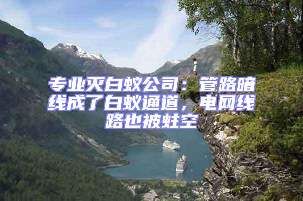 專(zhuān)業(yè)滅白蟻公司：管路暗線成了白蟻通道，電網(wǎng)線路也被蛀空